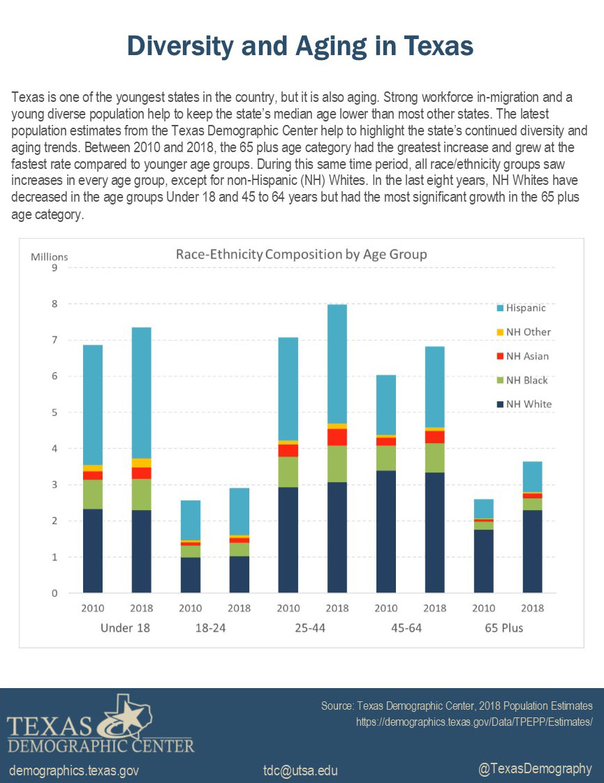 Report showing Race-Ethnicity Composiution by Age Group