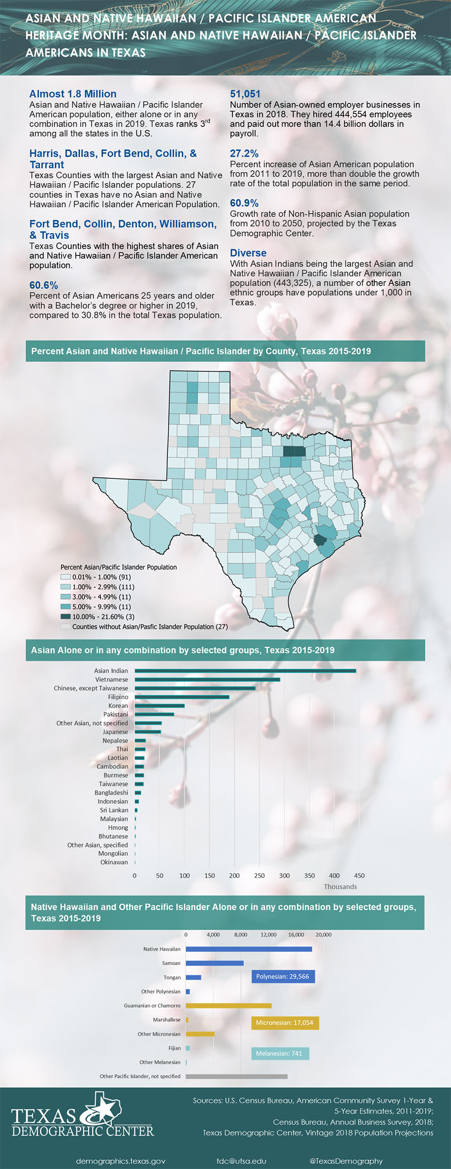 Graph showing Asian and Native Hawaiian / Pacific Islander American